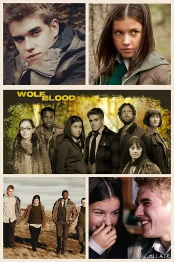 Poster for the TV series "Wolfblood" #1666351