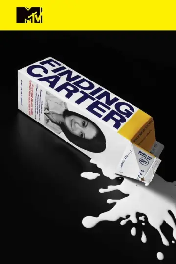 Poster for the TV series "Finding Carter" #1680963