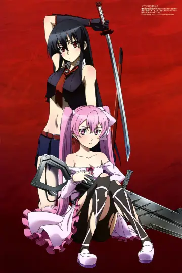 Poster к сериалу "Akame ga Kill!" #1373353