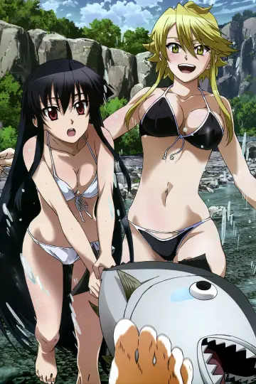 Poster к сериалу "Akame ga Kill!" #1373354