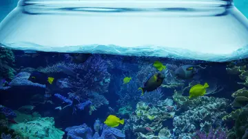 Backdrop for the TV series "Tanked" #1539988