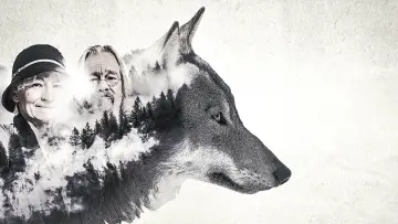 Backdrop for the TV series "Alaskan Bush People" #1427481