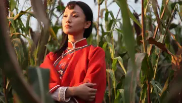 Backdrop for the TV series "Red Sorghum" #1666078