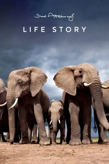 Life Story (2014)