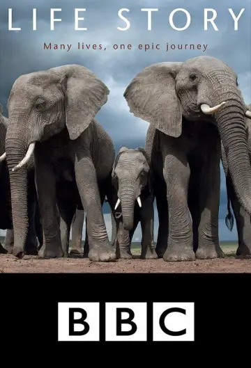 Poster for the TV series "Life Story" #1806518