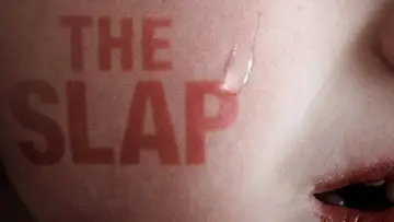 Backdrop for the TV series "The Slap" #1765100