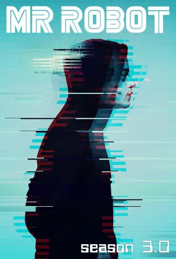Poster for the TV series "Mr. Robot" #1614423