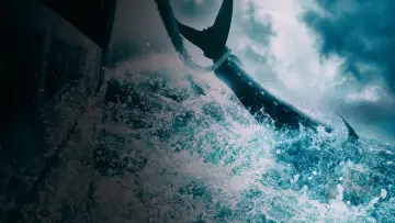Backdrop к сериалу "Wicked Tuna" #1357115