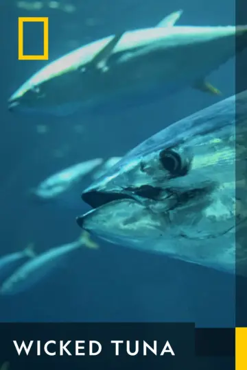 Poster к сериалу "Wicked Tuna" #1357135
