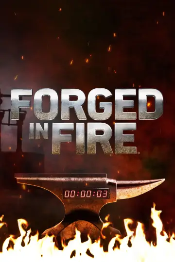Poster for the TV series "Forged in Fire" #1335718
