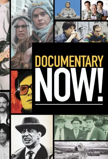 Poster for the TV series "Documentary Now!" #1595118