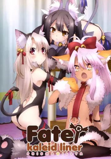 Poster к сериалу "Fate/kaleid liner Prisma Illya" #1374735