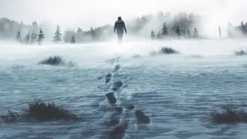 Backdrop for the TV series "Alone" #1223347