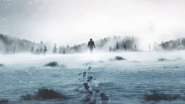 Backdrop for the TV series "Alone" #1223350