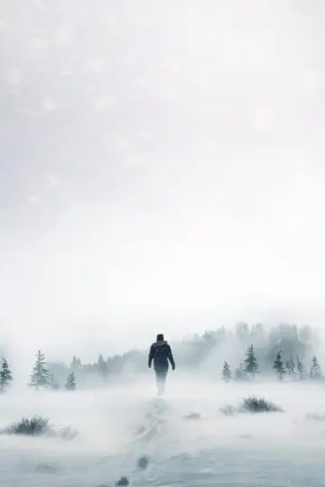Poster for the TV series "Alone" #1272306