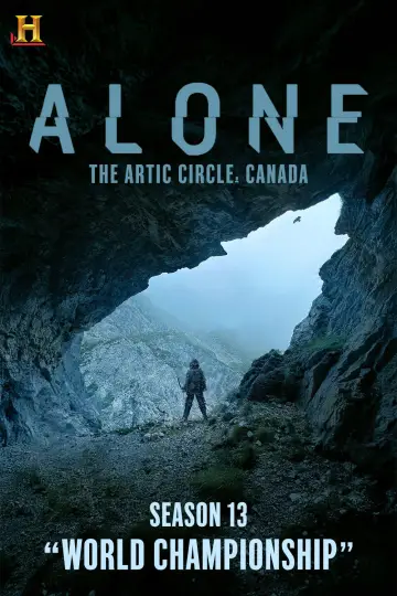 Poster for the TV series "Alone" #1272323