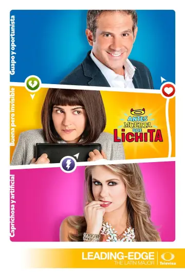 Poster for the TV series "Anything But Plain" #1797586