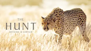 Backdrop for the TV series "The Hunt" #1800904