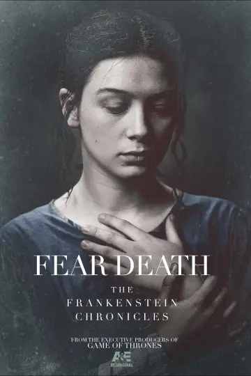 Poster for the TV series "The Frankenstein Chronicles" #1869946