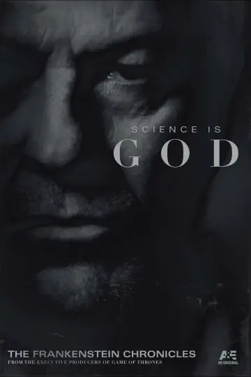 Poster for the TV series "The Frankenstein Chronicles" #1869950
