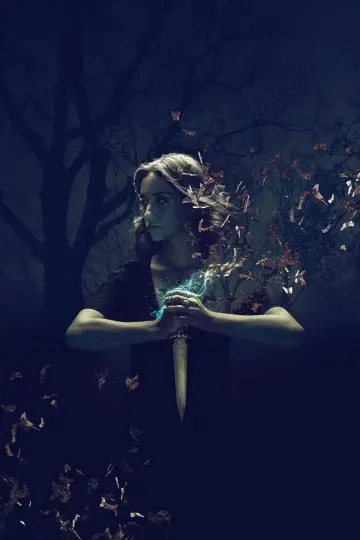 Poster for the TV series "The Magicians" #1686777