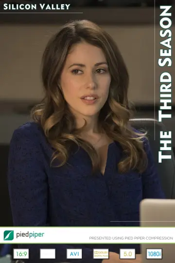 Poster for the TV series "Silicon Valley" #1613788