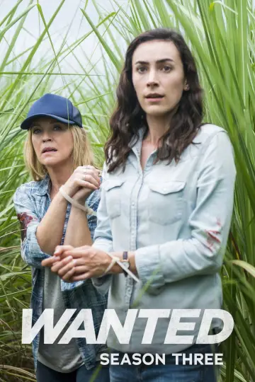 Poster for the TV series "Wanted" #1795045