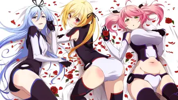Backdrop к сериалу "Undefeated Bahamut Chronicle" #1444258