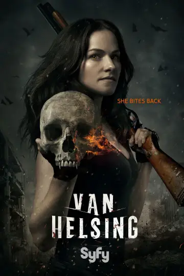 Poster for the TV series "Van Helsing" #1354486