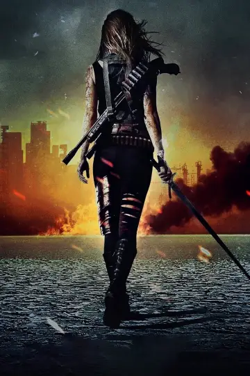 Poster for the TV series "Van Helsing" #1694193