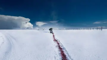 Backdrop к сериалу "Fargo" #1261347