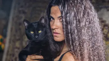 Backdrop for the TV series "The Stray Cat" #1849675