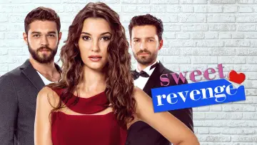 Backdrop for the TV series "Sweet Revenge" #1401431