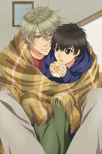 Poster for the TV series "SUPER LOVERS" #1540688