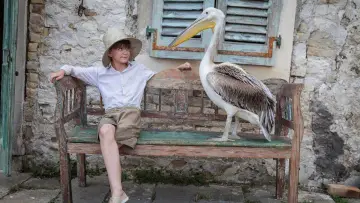 Backdrop for the TV series "The Durrells" #1591491
