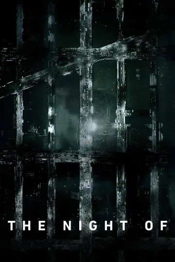 Poster for the TV series "The Night Of" #1402676