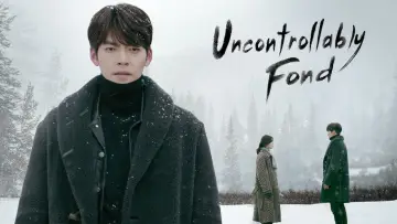 Backdrop for the TV series "Uncontrollably Fond" #1800138