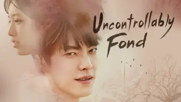 Backdrop for the TV series "Uncontrollably Fond" #1800140