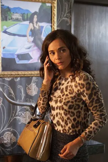 Poster for the TV series "Queen of the South" #1367821