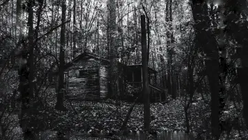 Backdrop к сериалу "Stranger Things" #1239109