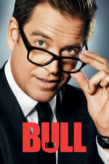 Poster for the TV series "Bull" #1566750