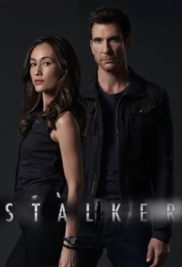 Poster for the TV series "Stalker" #1599381