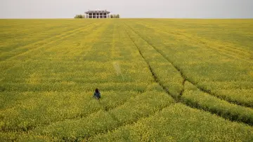Backdrop к сериалу "Channel Zero" #1439920