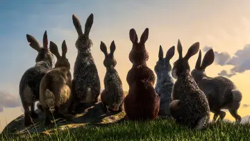 Backdrop for the TV series "Watership Down" #1798675