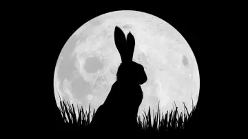 Backdrop for the TV series "Watership Down" #1798677