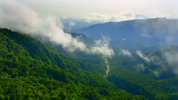 Backdrop к сериалу "Planet Earth II" #1427979