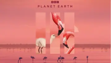 Backdrop к сериалу "Planet Earth II" #1427986