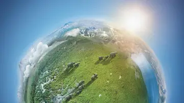 Backdrop к сериалу "Planet Earth II" #1427987