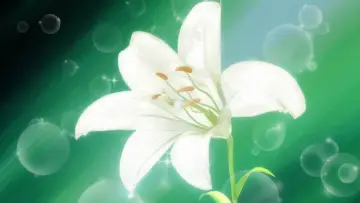 Backdrop for the TV series "Yurikuma Arashi" #1744273
