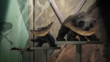 Backdrop for the TV series "Yurikuma Arashi" #1744274